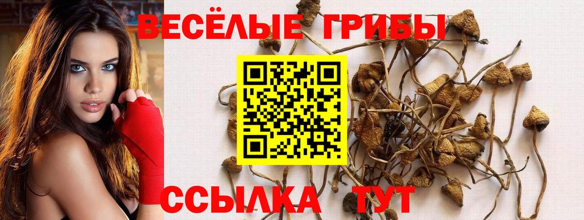 Псилоцибиновые грибы ЛСД  Галлюциногенные грибы GOLDEN TEACHER  Вход с VPN  Урай 